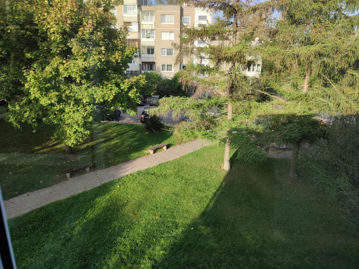 Shortstoppasilaiciai VNO Exteriér fotografie