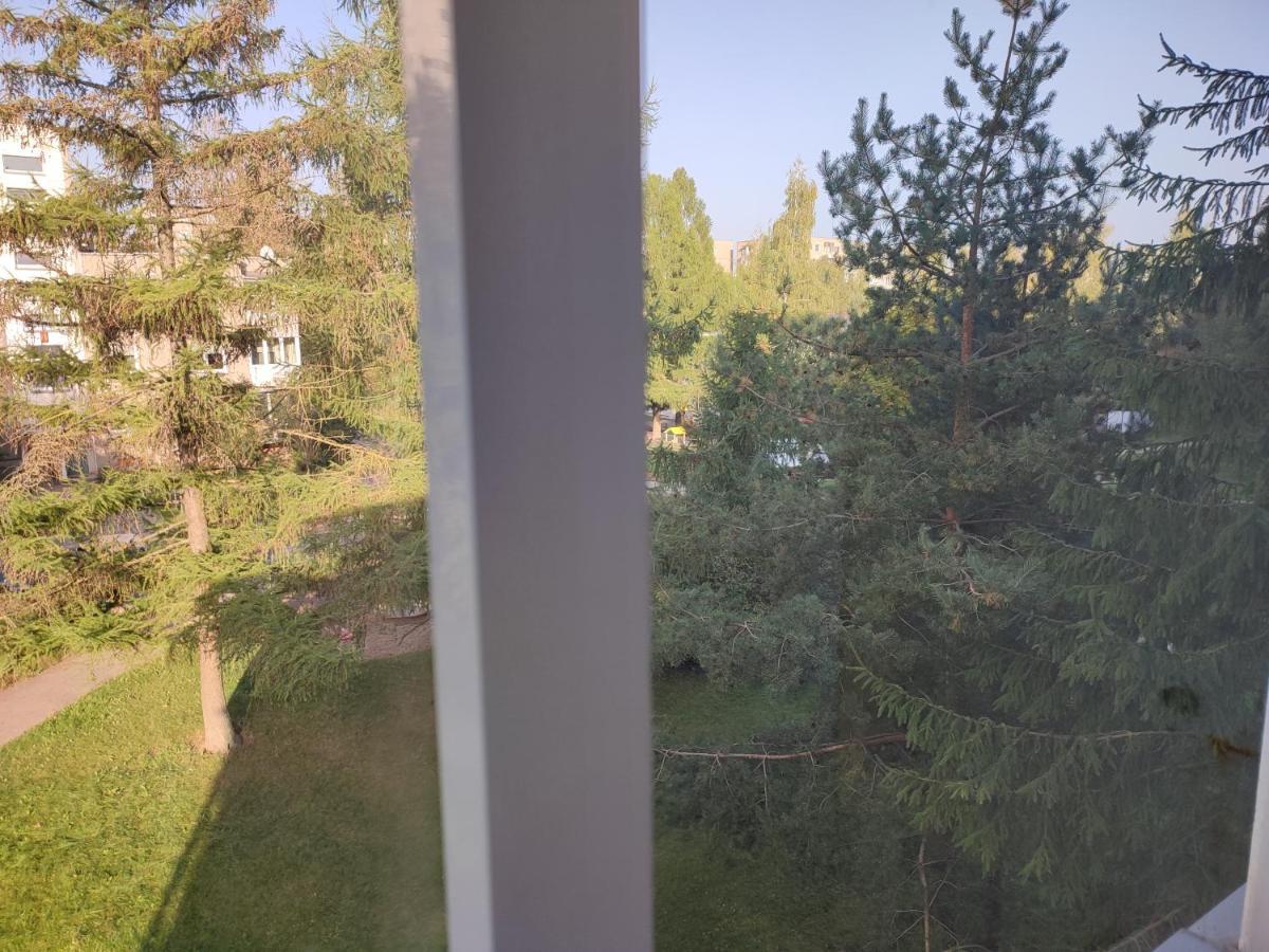 Shortstoppasilaiciai VNO Exteriér fotografie
